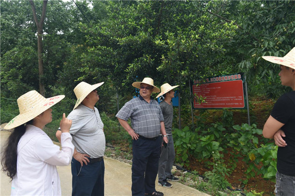 至尊全讯白菜官方网站